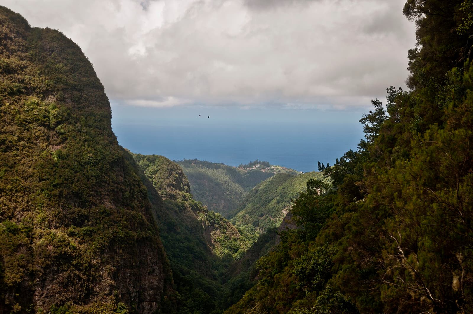 Levadas da Ilha da Madeira (Lista Indicativa da UNESCO)