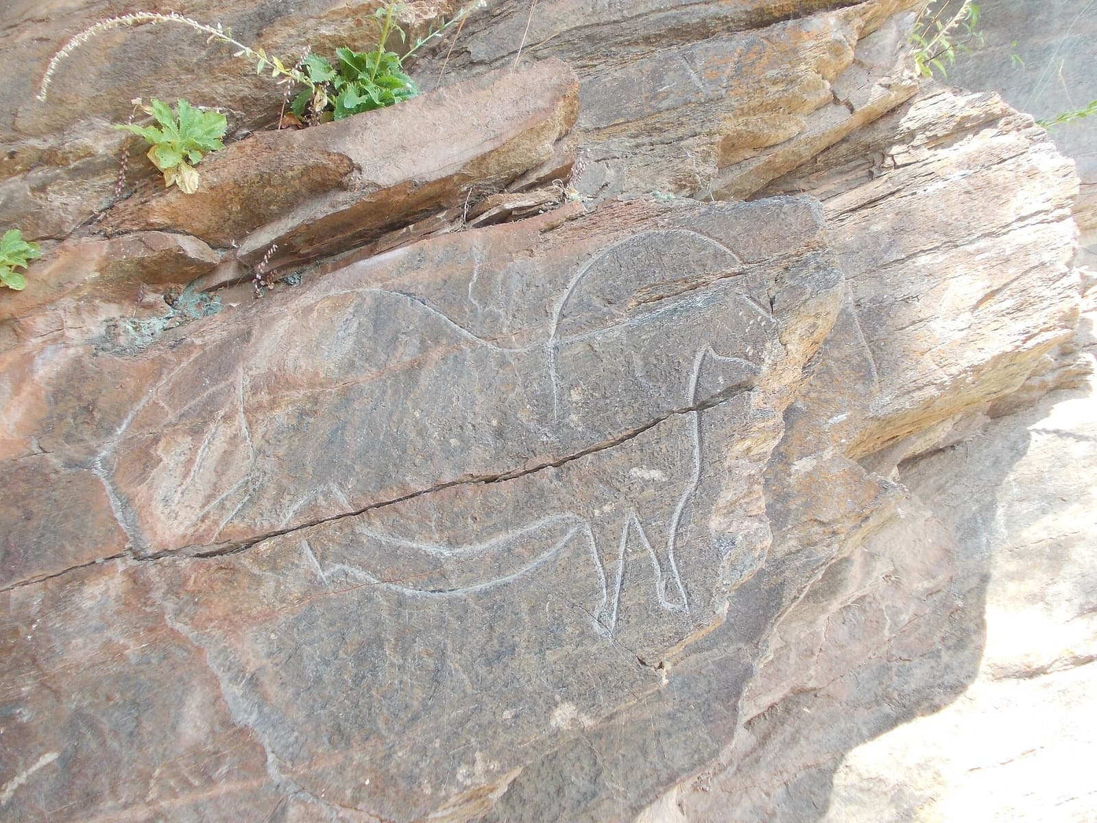 Gravuras rupestres de Mazouco
